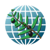 International Olive Council